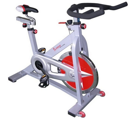 sunny brand exercise bike