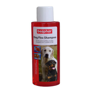 Best Flea Shampoo for Dogs in 2020 - Flea Shampoo for Dogs Reviews